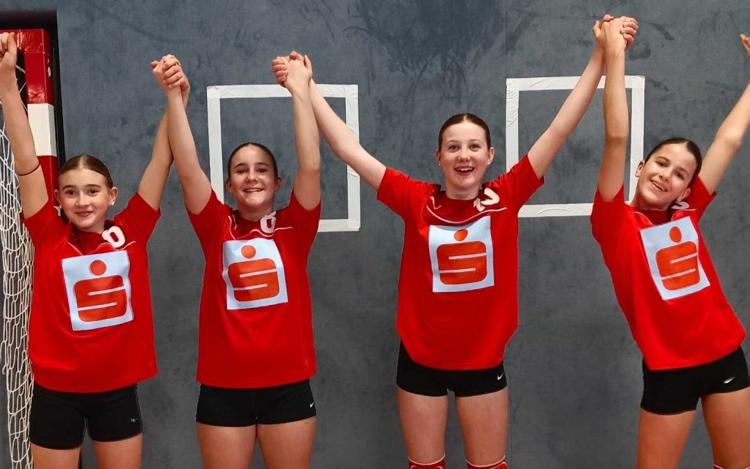 3. Platz beim Volleyball – Landesfinale